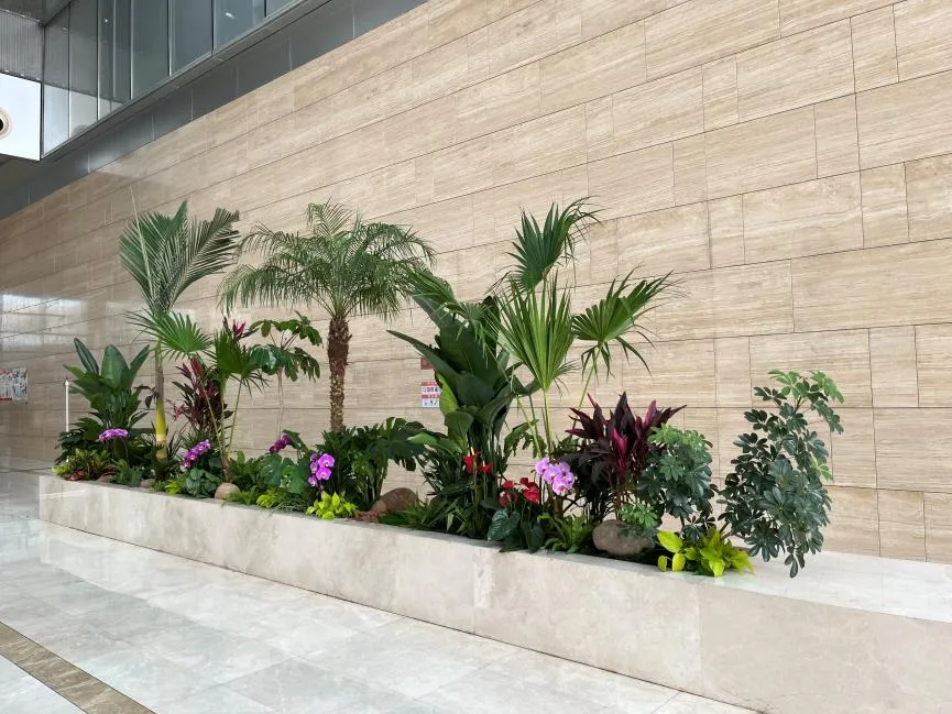 深挖宁波前湾绿化修剪哪家好，为你揭晓真相！