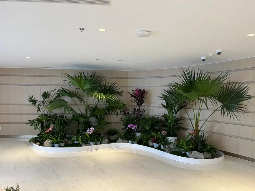 海曙盆景出租专业